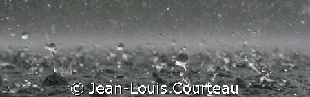 "Waterworld"
Coming up from a long lake dive to heavy ra... by Jean-Louis Courteau 